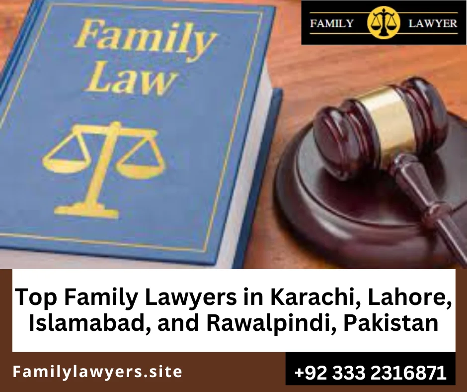 Family law legal services